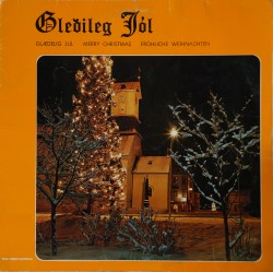 Gleðileg jól - ýmsir (2)