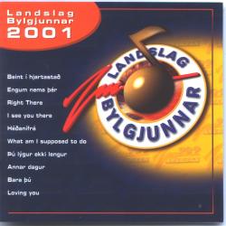 Landslag Bylgjunnar 2001 - Ýmsir