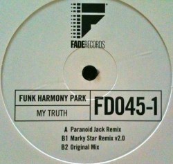 Funk harmony park - My truth [promo]