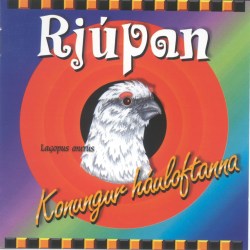 Rjúpan - Konungur háuloftanna