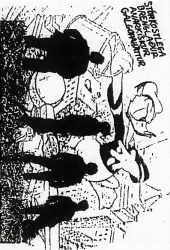 Parror - Stórkostlega brenglaður anarkískur galgopaháttur