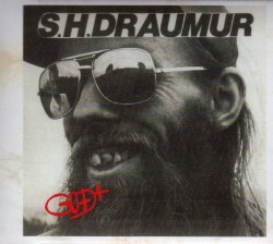 s-h-draumur-god
